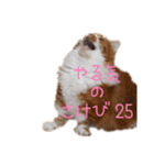 ひのきとしらかば4（個別スタンプ：15）