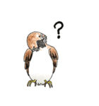 りすずめ（個別スタンプ：11）