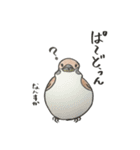 りすずめ（個別スタンプ：12）