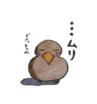 りすずめ（個別スタンプ：25）