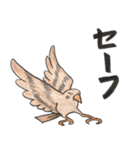 りすずめ（個別スタンプ：36）