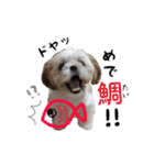 虎太朗family（個別スタンプ：5）