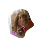 まるまるみるく（個別スタンプ：3）