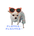 ぼく。まめまる。（個別スタンプ：13）