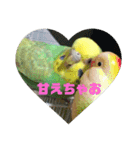 ぴーちゃんのキュートな日常（個別スタンプ：3）