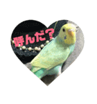 ぴーちゃんのキュートな日常（個別スタンプ：6）