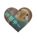ぴーちゃんのキュートな日常（個別スタンプ：7）