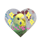 ぴーちゃんのキュートな日常（個別スタンプ：14）