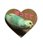 ぴーちゃんのキュートな日常（個別スタンプ：16）