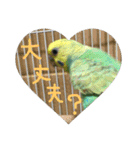 ぴーちゃんのキュートな日常（個別スタンプ：18）
