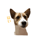毎日ピース2（個別スタンプ：8）
