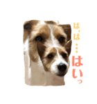 毎日ピース2（個別スタンプ：9）