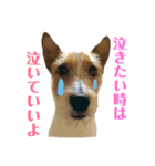 毎日ピース2（個別スタンプ：14）