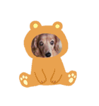 犬の日常 とあ（個別スタンプ：19）