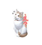 みくぴこ（個別スタンプ：3）