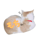 みくぴこ（個別スタンプ：7）