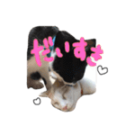 みくぴこ（個別スタンプ：9）
