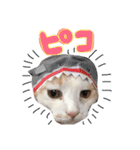 みくぴこ（個別スタンプ：24）