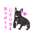 フレブル凛ちゃん（個別スタンプ：3）