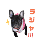 フレブル凛ちゃん（個別スタンプ：5）