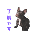 フレブル凛ちゃん（個別スタンプ：8）