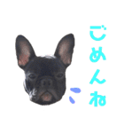 フレブル凛ちゃん（個別スタンプ：13）