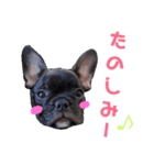 フレブル凛ちゃん（個別スタンプ：14）
