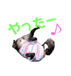 フレブル凛ちゃん（個別スタンプ：16）