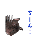 フレブル凛ちゃん（個別スタンプ：17）