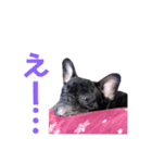 フレブル凛ちゃん（個別スタンプ：18）