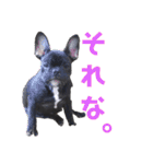 フレブル凛ちゃん（個別スタンプ：19）