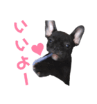 フレブル凛ちゃん（個別スタンプ：23）