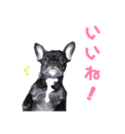 フレブル凛ちゃん（個別スタンプ：24）