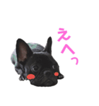 フレブル凛ちゃん（個別スタンプ：27）