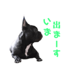 フレブル凛ちゃん（個別スタンプ：33）
