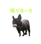 フレブル凛ちゃん（個別スタンプ：34）