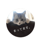 ふっくん敬語2（個別スタンプ：1）
