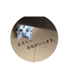 ふっくん敬語2（個別スタンプ：3）