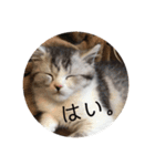 ふっくん敬語2（個別スタンプ：4）