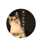 ふっくん敬語2（個別スタンプ：6）