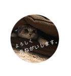 ふっくん敬語2（個別スタンプ：7）
