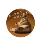 ふっくん敬語2（個別スタンプ：9）