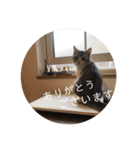 ふっくん敬語2（個別スタンプ：12）