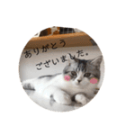 ふっくん敬語2（個別スタンプ：14）