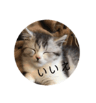 ふっくん敬語2（個別スタンプ：15）