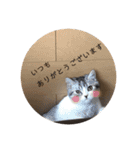 ふっくん敬語2（個別スタンプ：16）