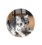 ふっくん敬語2（個別スタンプ：17）
