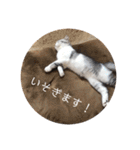 ふっくん敬語2（個別スタンプ：18）