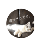 ふっくん敬語2（個別スタンプ：19）