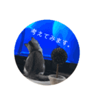 ふっくん敬語2（個別スタンプ：21）